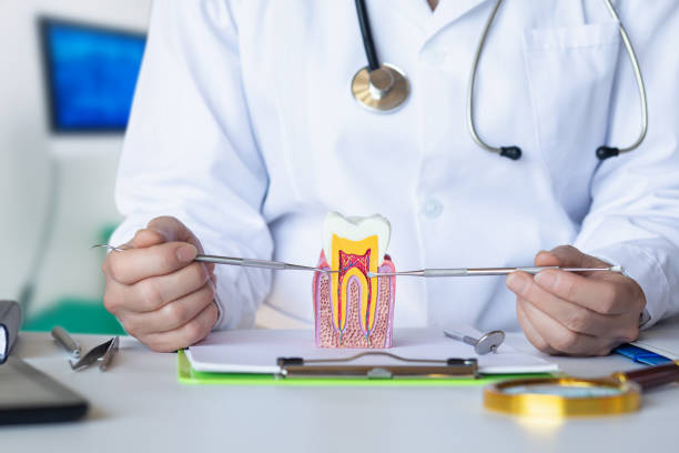 Best Pediatric Emergency Dentist in Harbour Heights, FL